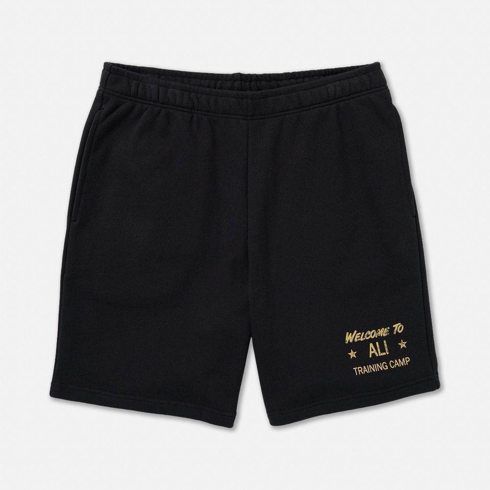 RVCA Ali Essentials Fleece Short